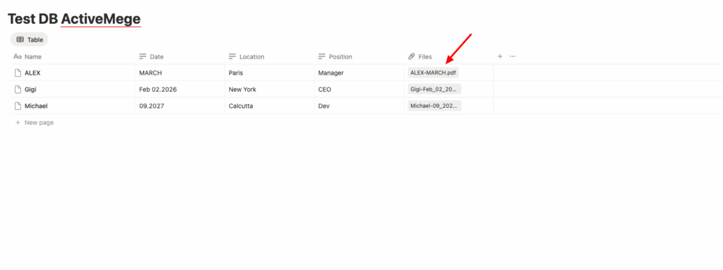 Test-DB-ActiveMege-Notion Result