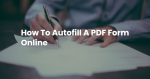 How To Autofill A PDF Form Online 1791407151